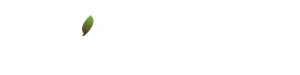 Joris Baumpflege
